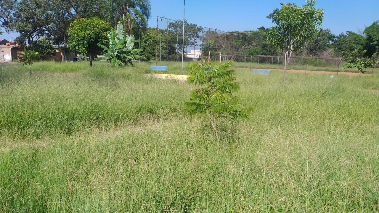 Foto 3 de 21 — Mato toma conta de praça no Maria Luiza; Prefeitura não tem prazo para zeladoria no bairro
